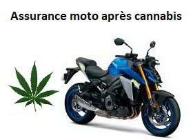Assurance moto annulation de permis cannabis