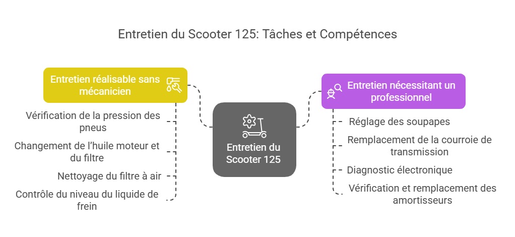 Infographie sur l'entretien du scooter 125 et les compétences nécessaires